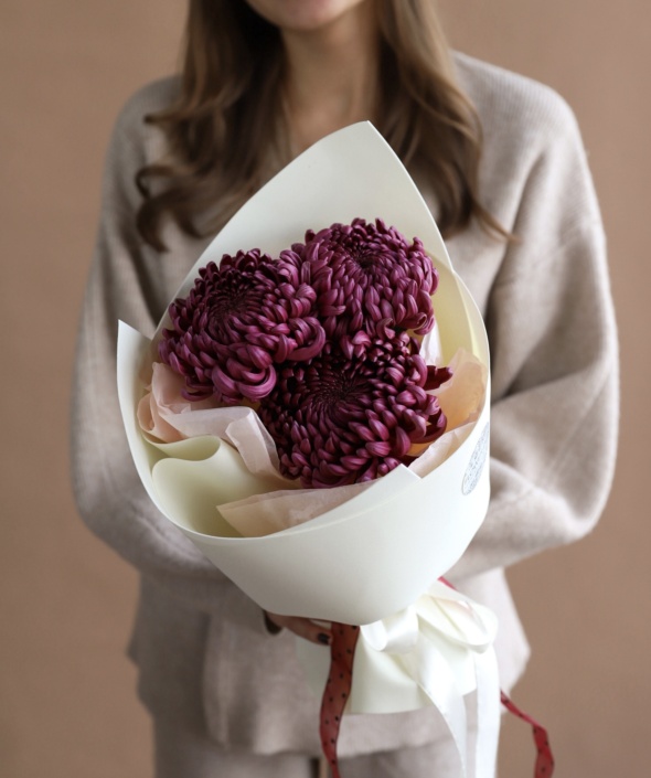 Букет из винных хризантем в нежном оформлении №2116