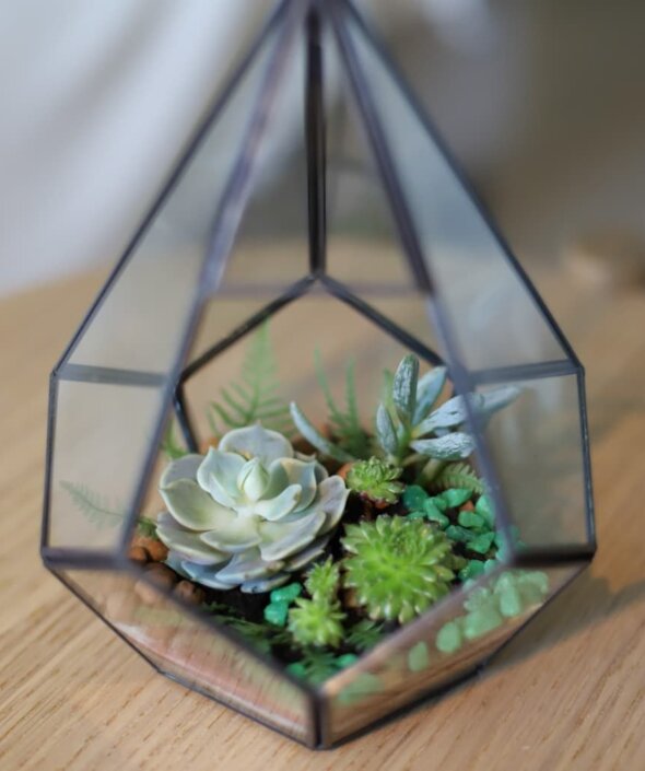 Флорариум для дома №1382