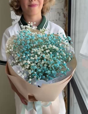 Гипсофила цветная в нежном оформлении (3 шт) №1753