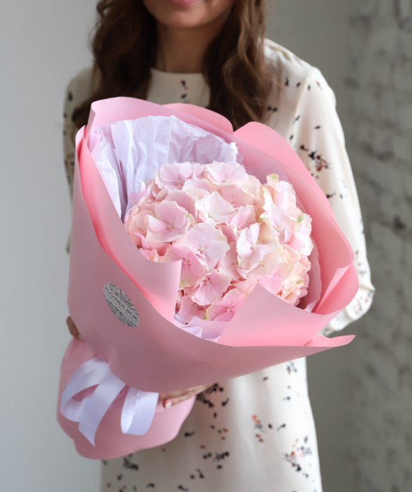 Гортензия розовая в нежном оформлении №1683