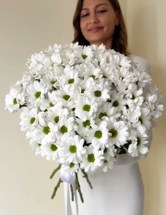 Хризантемы ромашковые в ленту (15 шт) №1719