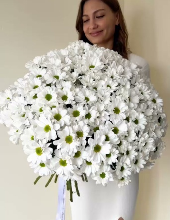 Хризантемы ромашковые в ленту (25 шт) №1718