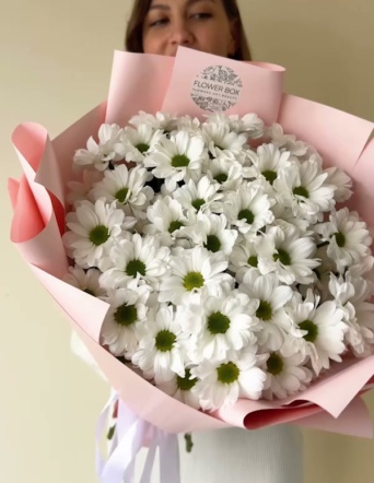 Хризантемы ромашковые в розовом оформлении (7 шт) №1008