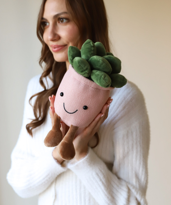 Мягкая игрушка - Суккулент №2185