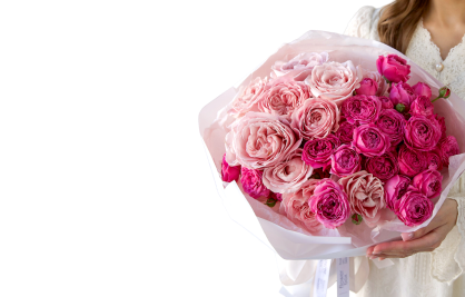 Розы